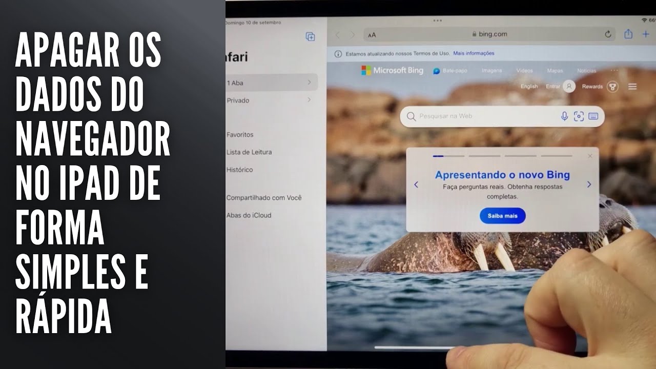 Apagar os dados do navegador no iPad de forma simples e rápida Apagar os dados do navegador no iPad de forma simples e rápida